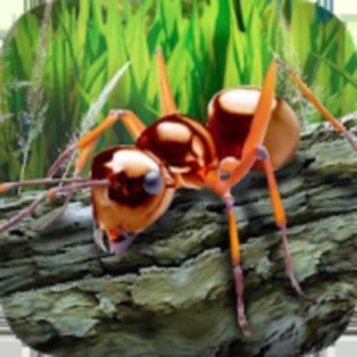 蚂蚁生存模拟器苹果版