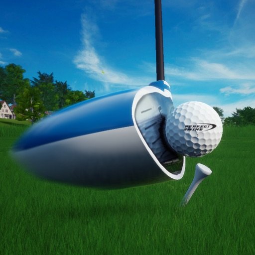Perfect Swing Golf