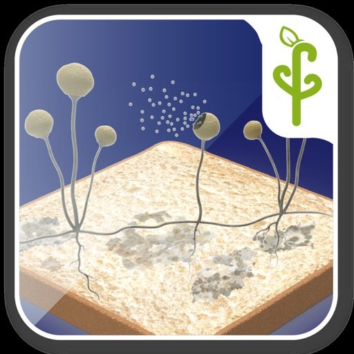 生活中的霉菌:AR Game苹果版